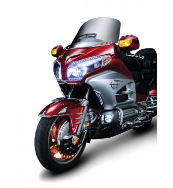 FREGIO AQUILA VINTAGE PER PARAFANGO HARLEY E MOTO CUSTOM