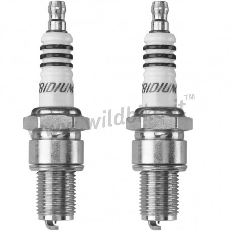 ZÜNDKERZE NGK IRIDIUM IX HIGH PERFORMANCE HARLEY DAVIDSON TWIN CAM 1999-2017