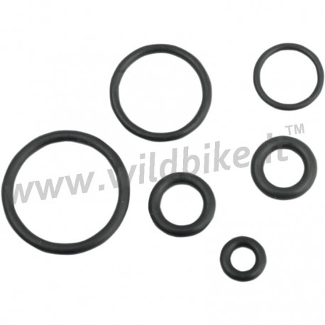 KRAFTSTOFFLEITUN O-RING SERVICE-KIT FÜR EFI INJECTION HARLEY DAVIDSON