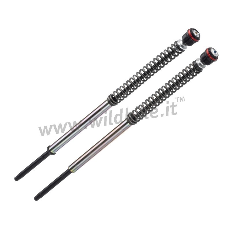 PRESSURIZED CARTRIDGES BITUBO JBH12 FORK HARLEY DAVIDSON FXD DYNA 2006-2017