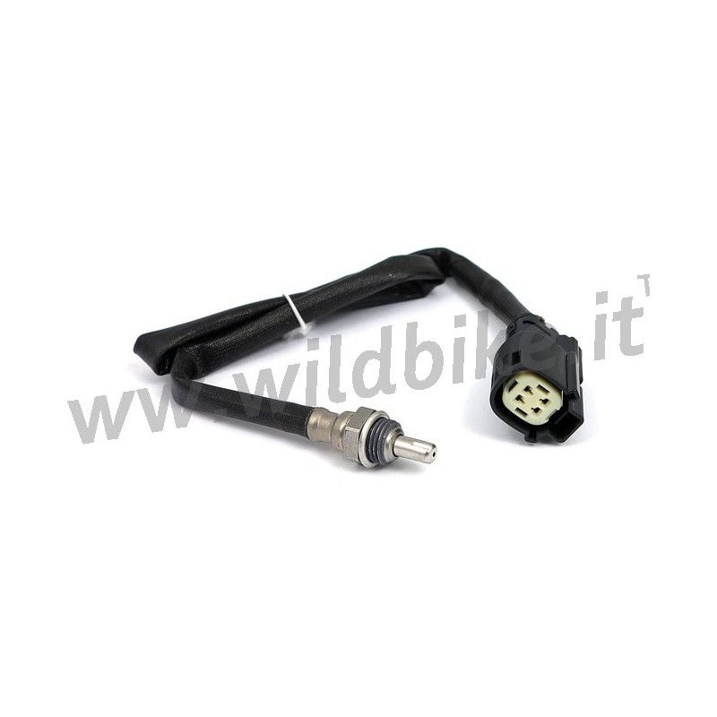 REAR OXYGEN SENSOR 12 MM O2 HARLEY DAVIDSON FXST/FLST SOFTAIL 12-17