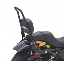 BLACK SISSY BAR KIT 21" UPRIGHT ONE PIECE HARLEY DAVIDSON FXD DYNA 06-17