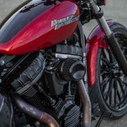 LUFTFILTER ARLEN NESS MINI 22°  SCHWARZEN HARLEY DAVIDSON XL SPORTSTER 1996-2021