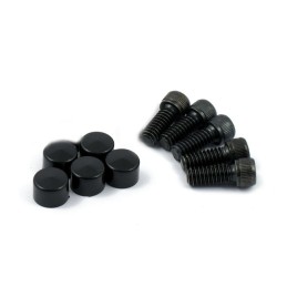 BLACK BOLT SET DERBY COVER FOR HARLEY DAVIDSON BIG TWIN/TWIN CAM 99-17