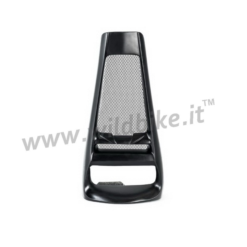 PROTECTION SPOILER KILLER CUSTOM AGRESSOR HARLEY DAVIDSON FLH FLT TOURING 10-16