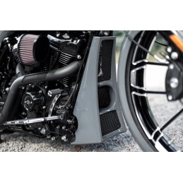 PUNTALE PROTEZIONE SPOILER KILLER CUSTOM AGGRESSOR HARLEY DAVIDSON FLH FLT TOURING 17-24