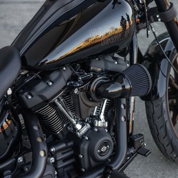 FILTRO ARIA VELOCITY 65 ARLEN NESS NERO HARLEY DAVIDSON SOFTAIL 2018-2024
