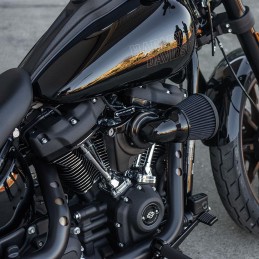 FILTRO ARIA VELOCITY 90 ARLEN NESS NERO HARLEY DAVIDSON FXD DYNA 06-17