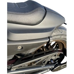 PROTECTION DE COURROIE DE TRANSMISSION HARLEY DAVIDSON RH 1250 S ABS SPORTSTER 21-22