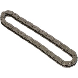 CAM CHAIN OUTER ROLLER HIGH PERFORMANCE HARLEY DAVIDSON TWIN CAM 06-17