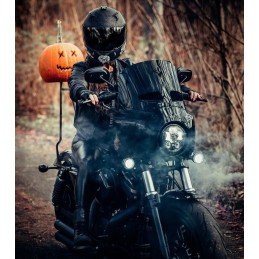 VERKLEIDUNG WINDSCHUTZSCHEIBE ROAD WARRIOR FAIRING HARLEY DAVIDSON XLN 883 IRON 09-22