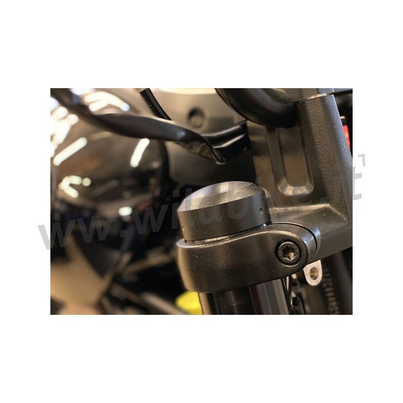 SCHRAUBENABDECKUNGEN FÜR GABELROHRDECKEL SCHWARZ HARLEY DAVIDSON RH 1250 S ABS SPORTSTER 21-22