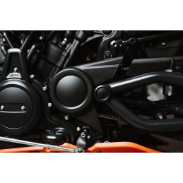 SET DI COPERTURE PERNO PERNO ASSE COMPLETO HARLEY DAVIDSON RH 1250 S ABS SPORTSTER 21-24