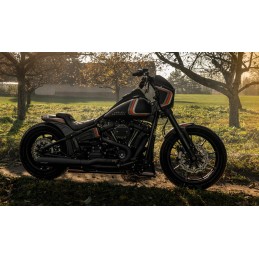 KILLER CUSTOM FRONT FENDER HARLEY DAVIDSON FXLRS LOW RIDER S 20-22