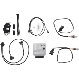 THUNDERMAX UNITÉ ECM AUTOTUNE HARLEY DAVIDSON SOFTAIL M-EIGHT 21-22