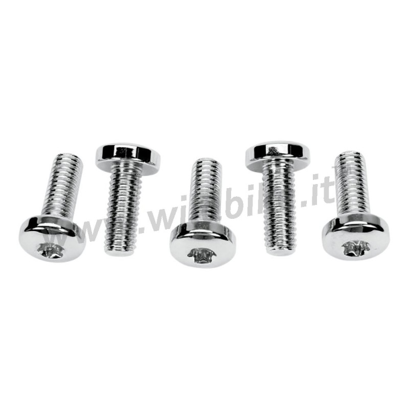 VITI BULLONI TORX COLONY DISCO FRENO POSTERIORE HARLEY DAVIDSON TWIN CAM 98-17