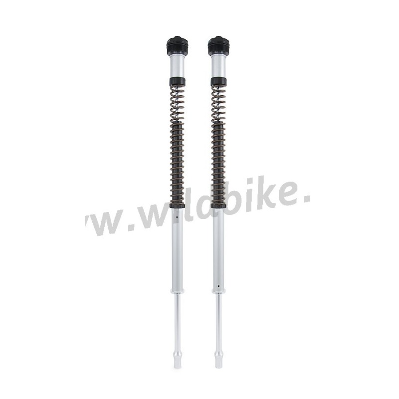 KIT CARTUCCE OHLINS NIX 22 FORCELLA ANTERIORE HARLEY DAVIDSON SOFTAIL 2018-2025