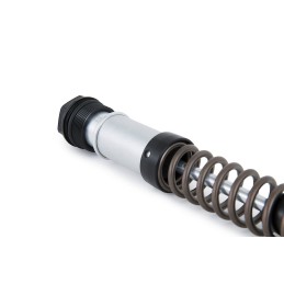 KIT CARTOUCHE ÖHLINS NIX 22 FKS 221 FOURCHE AVANT HARLEY DAVIDSON SOFTAIL 2018-25