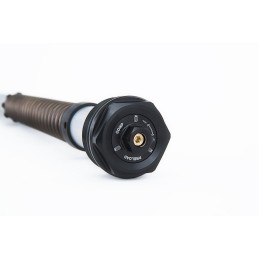 KIT CARTOUCHE ÖHLINS NIX 22 FKS 221 FOURCHE AVANT HARLEY DAVIDSON SOFTAIL 2018-25