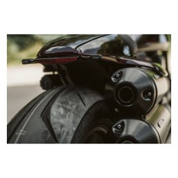 FANALE POSTERIORE COMBO 3IN1 OMOLOGATO HARLEY DAVIDSON RH 1250 S ABS SPORTSTER 21-24