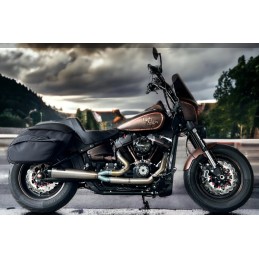 POT D'ÉCHAPPEMENT COMPLET 2EN1 MPRS RACE APPROUVÉ EU HARLEY DAVIDSON SOFTAIL 2021-2024