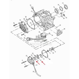 LEICHTES KUPPLUNGS-KIT MIT FEDER HARLEY DAVIDSON BIG TWIN/TWIN CAM 1999-2017