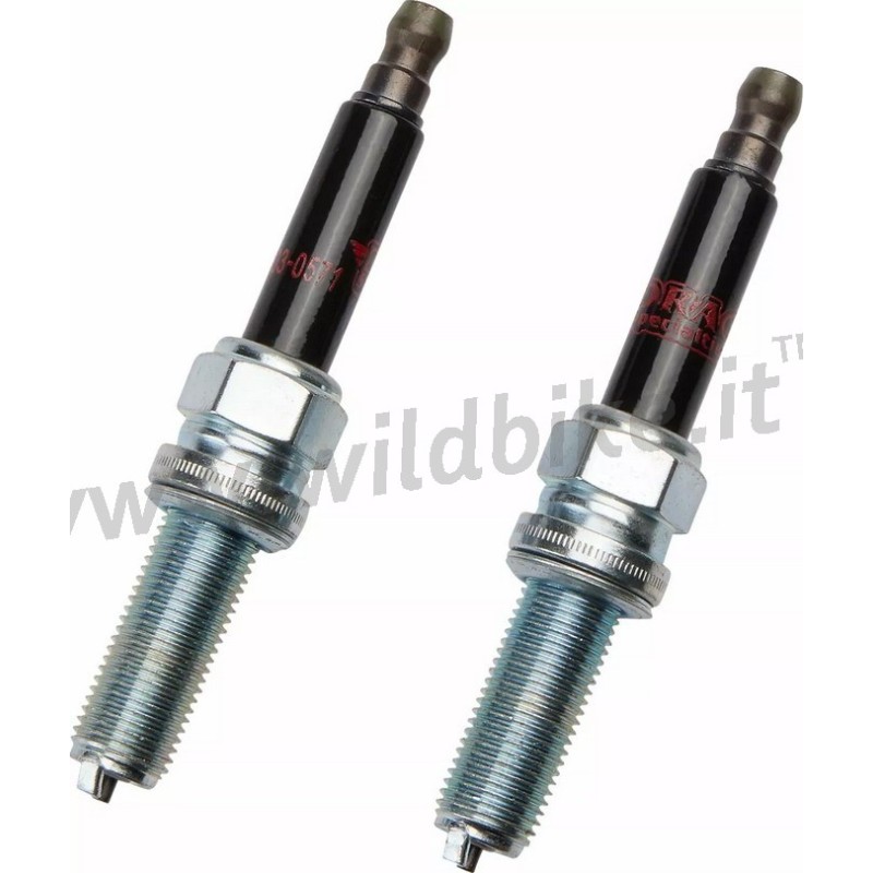 ZÜNDKERZE DRAG REVOLUTION MAX HARLEY DAVIDSON PAN AMERICA 1250 2021-25