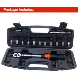 CHIAVE DINAMOMETRICA PROFESSIONALE IN KIT 1/4" 5-25 NM 11 BIT PER MOTO