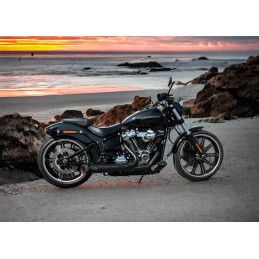 AUSPUFF MCJ 2IN1 MEGAPHONE RACE EU ZUGELASSEN HARLEY DAVIDSON SOFTAIL 2018-2024