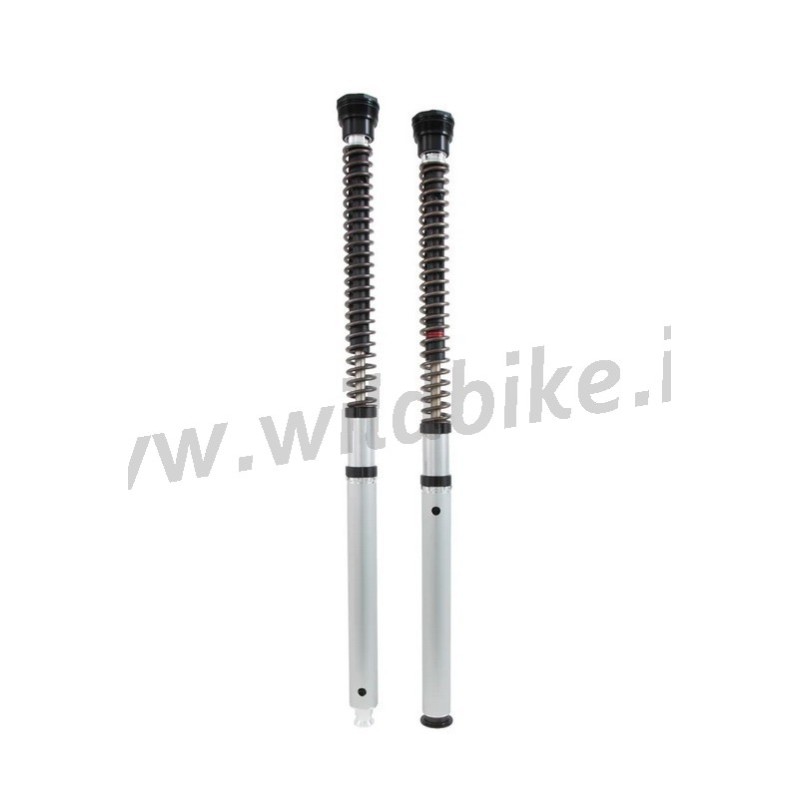 KIT CARTUCCE OHLINS NIX30 FKS 508 FORCELLA ANTERIORE HARLEY DAVIDSON FXFB FAT BOB 2018-25