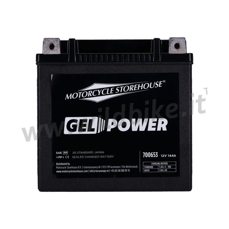 BATTERY HIGH PERFORMANCE GEL 12V 14 AH 260 CCA HARLEY DAVIDSON XL SPORTSTER 2014-2021