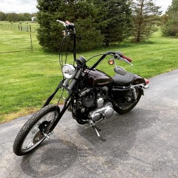 FORCELLA ANTERIORE COMPLETA SPRINGER A MOLLE WISHBONE NERA STOCK PER HARLEY DAVIDSON XL SPORTSTER '04-'19