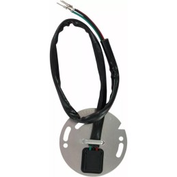 ZÜNDSENSOR BAUGRUPPE OEM 32400-94 HARLEY DAVIDSON XL SPORTSTER 1995-03