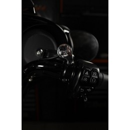 CENTRALINA SELETTORE RIDE MODE SKULL HARLEY DAVIDSON SOFTAIL 2018-2025