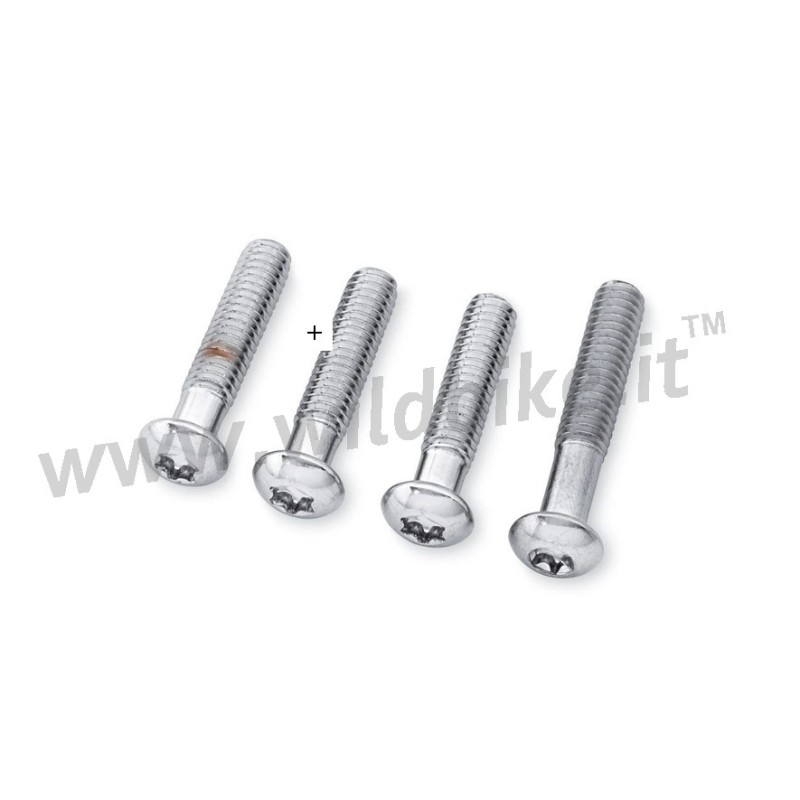 KIT BULLONERIA PER STAFFE FARI SUPPLEMENTARI HARLEY DAVIDSON FLHR ROAD KING 1996-2021