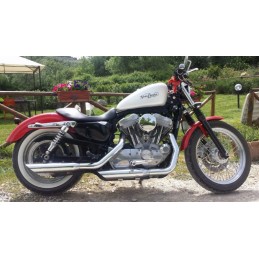 SILENCIEUX ECHAPPEMENTS 3 " SLASH DOWN REPLICA SCREAMIN EAGLE HARLEY DAVIDSON XL SPORTSTER 04-13