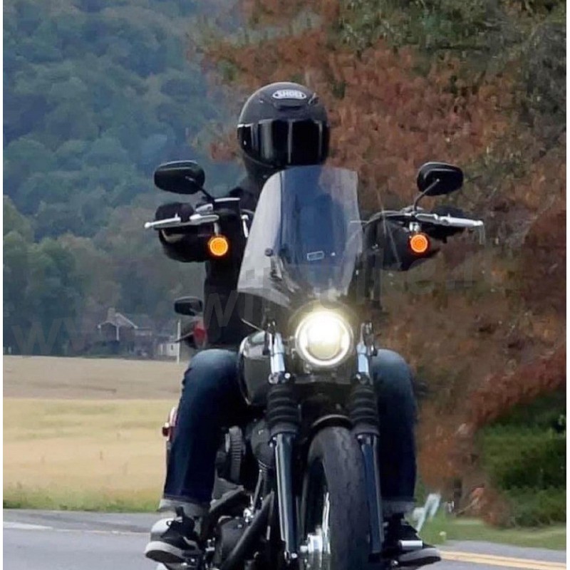 PARABREZZA SPORTSHIELD DEL RIO 15" HARLEY DAVIDSON SOFTAIL STANDARD FXST 2020-24