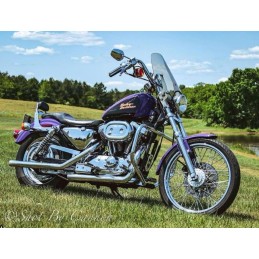 WINDSCHUTZSCHEIBEN SPORTSHIELD DEL RIO 15" HARLEY DAVIDSON XL SPORTSTER 1986-2021