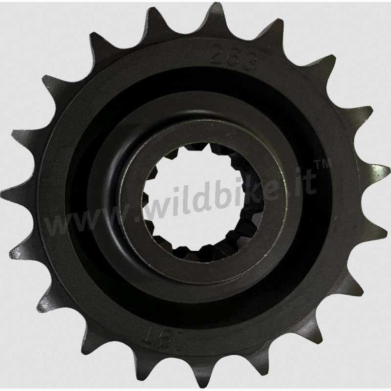 Antriebsritzel 19-Zähne HARLEY DAVIDSON RA 1250 ABS PAN AMERICA 2021-2024