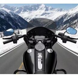 WINDSHIELD FAIRING ROAD WARRIOR CLUB 15" HARLEY DAVIDSON FLHR ROAD KING 1994-2025