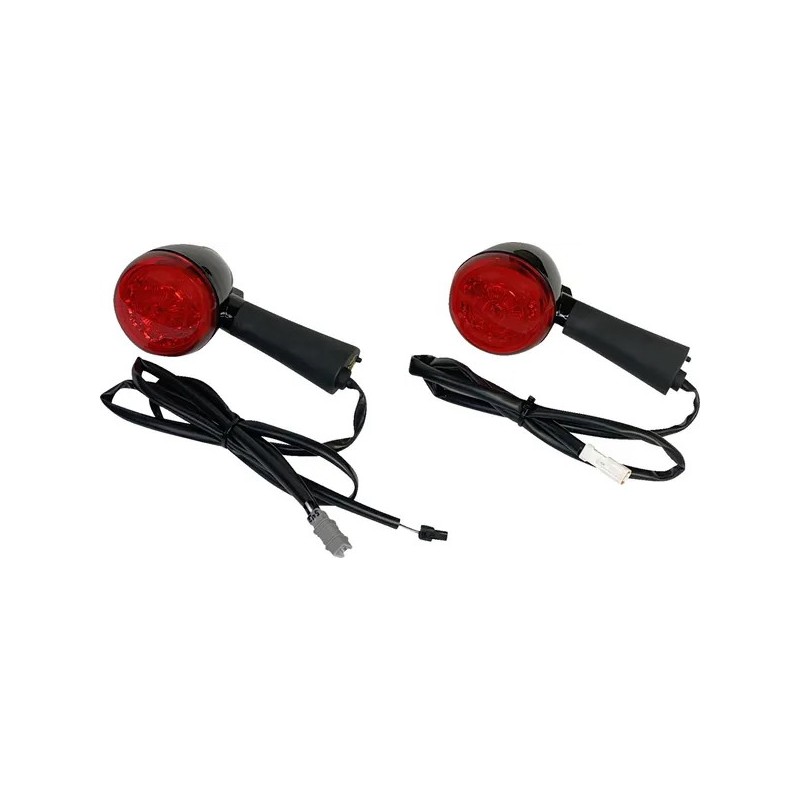 CLIGNOTANTS ARRIERE LED MULTIFONCTIONS PROBEAM® INDIAN SCOUT 2018-2024