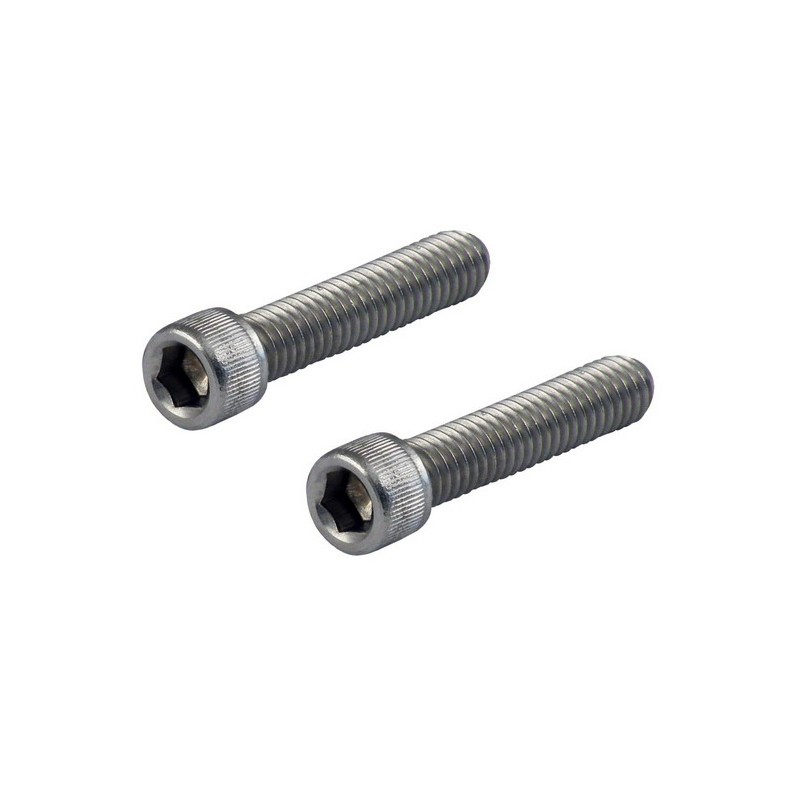 MOUNTING SCREWS  5/16 "- 18 BACK PINS SISSYBAR FRAMES HARLEY DAVIDSON