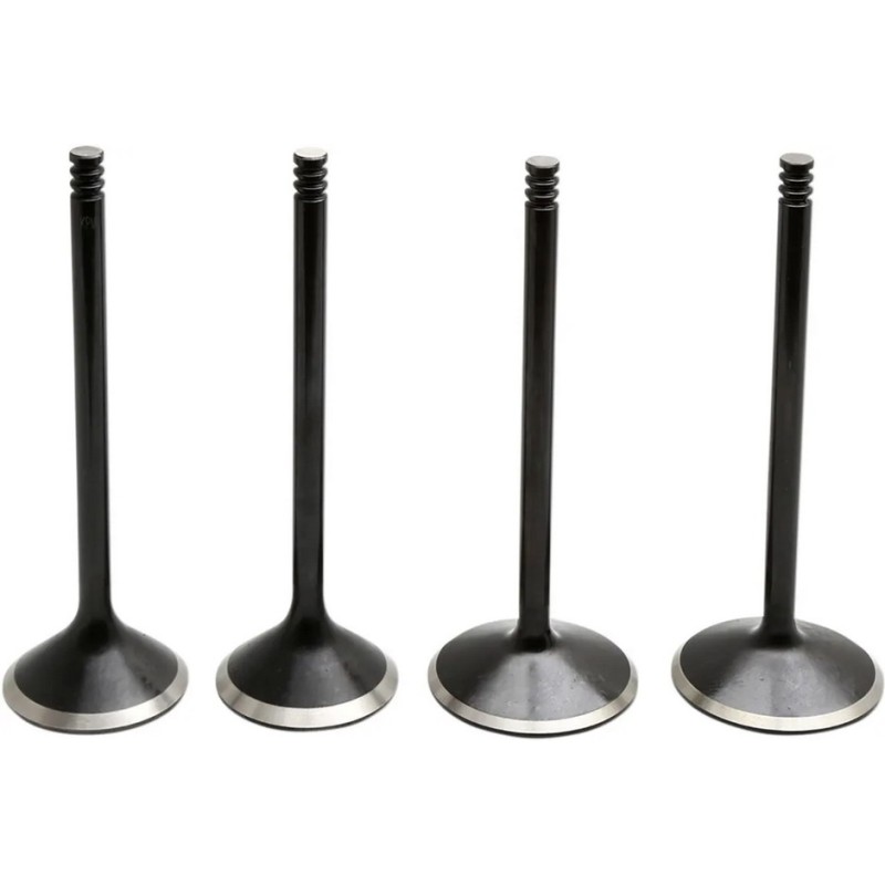 KIT DE SOUPAPES DE MOTEUR BLACK DIAMOND™ HARLEY DAVIDSON XL SPORTSTER 2004-2021