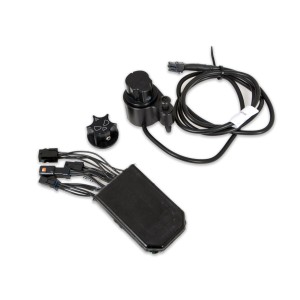 UNITÉ DE COMMANDE DU SÉLECTEUR DE  RIDE MODE SKULL HARLEY DAVIDSON SOFTAIL 2018-2025