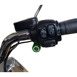 SYSTÈME D'ÉCHAPPEMENT MCJ 2IN2 ROYAL 80 HOMOLOGUÉ UE CHROME YAMAHA XV 1600 WILDSTAR 1999-2005