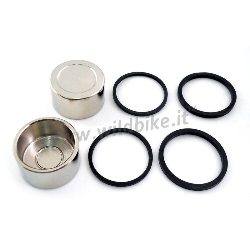 REAR BRAKE CALIPER PISTONS AND SEAL KIT HARLEY DAVIDSON XL SPORTSTER 2014-2022