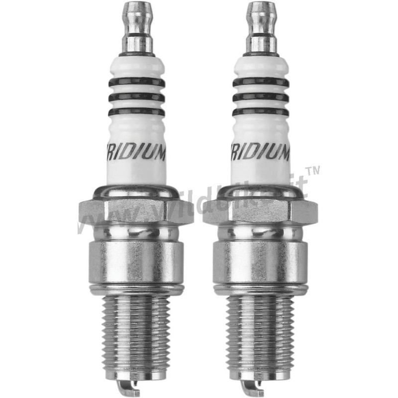 CANDELE NGK IRIDIUM IX HIGH PERFORMANCE HARLEY DAVIDSON 1975-1999