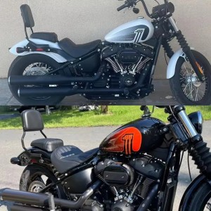 SCHIENALINO SISSYBAR 41 CM NERO LUCIDO SGANCIO RAPIDO HARLEY DAVIDSON SOFTAIL 2018-2026