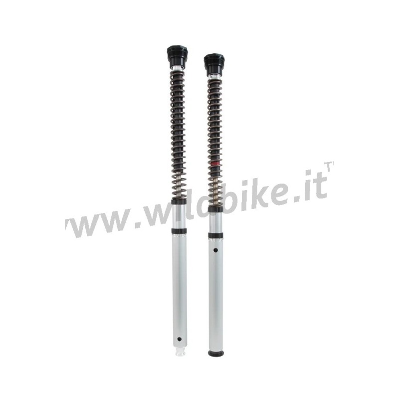 KIT CARTOUCHE ÖHLINS NIX 30 FKS 510 FOURCHE AVANT HARLEY DAVIDSON FLSB SPORT GLIDE 2018-2022