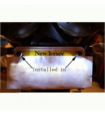 WHITE LED LICENSE PLATE MOUNTING BOLTS CUSTOM BIKE AND HARLEY